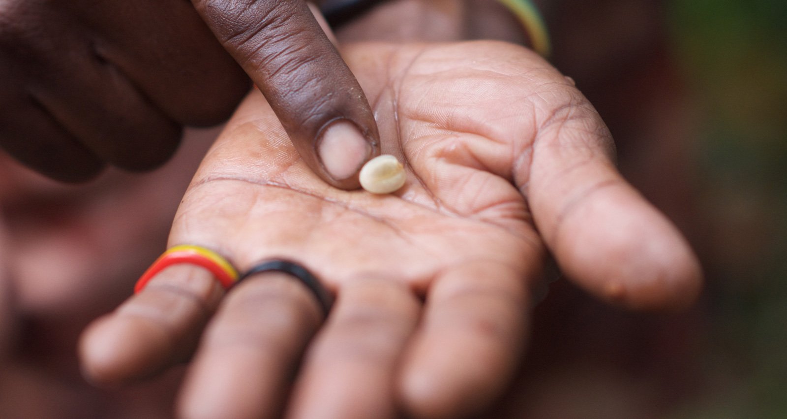 Jamaica’s Natural Home Remedies