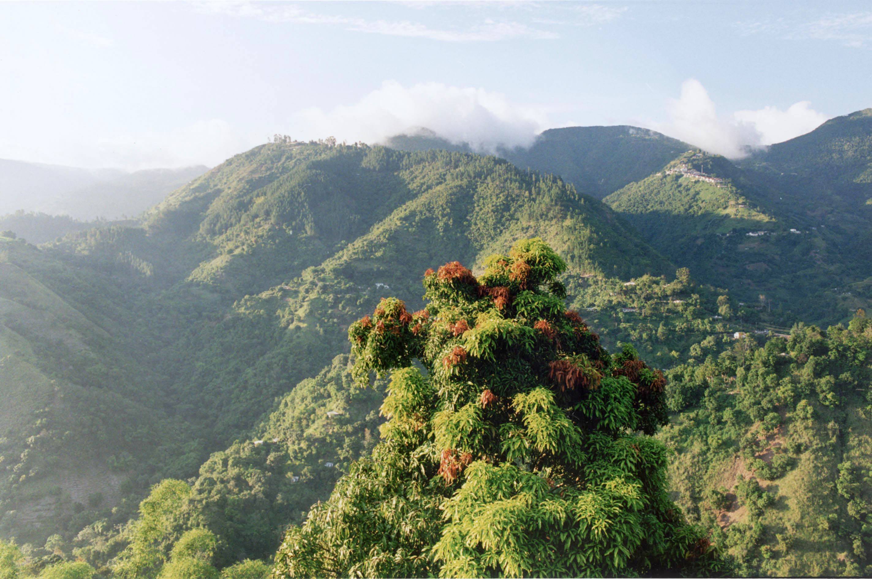 Jamaica Makes History: Newest UNESCO World Heritage Site